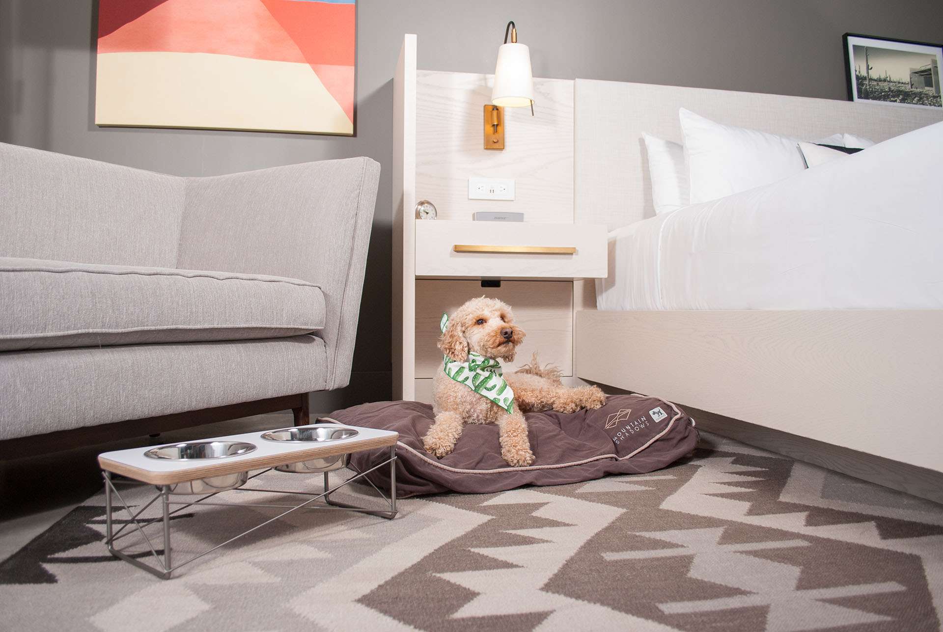 A dog laying on a dog bed inside a hotel room with two bowls beside it.